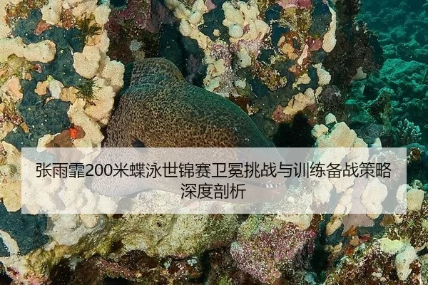 zhang-yu-fei-mi-die-yong-shi-jin-sai-wei-mian-tiao-zhan-yu-xun-lian-bei-zhan-ce-lve-shen-du-pou-xi-3-450.jpg